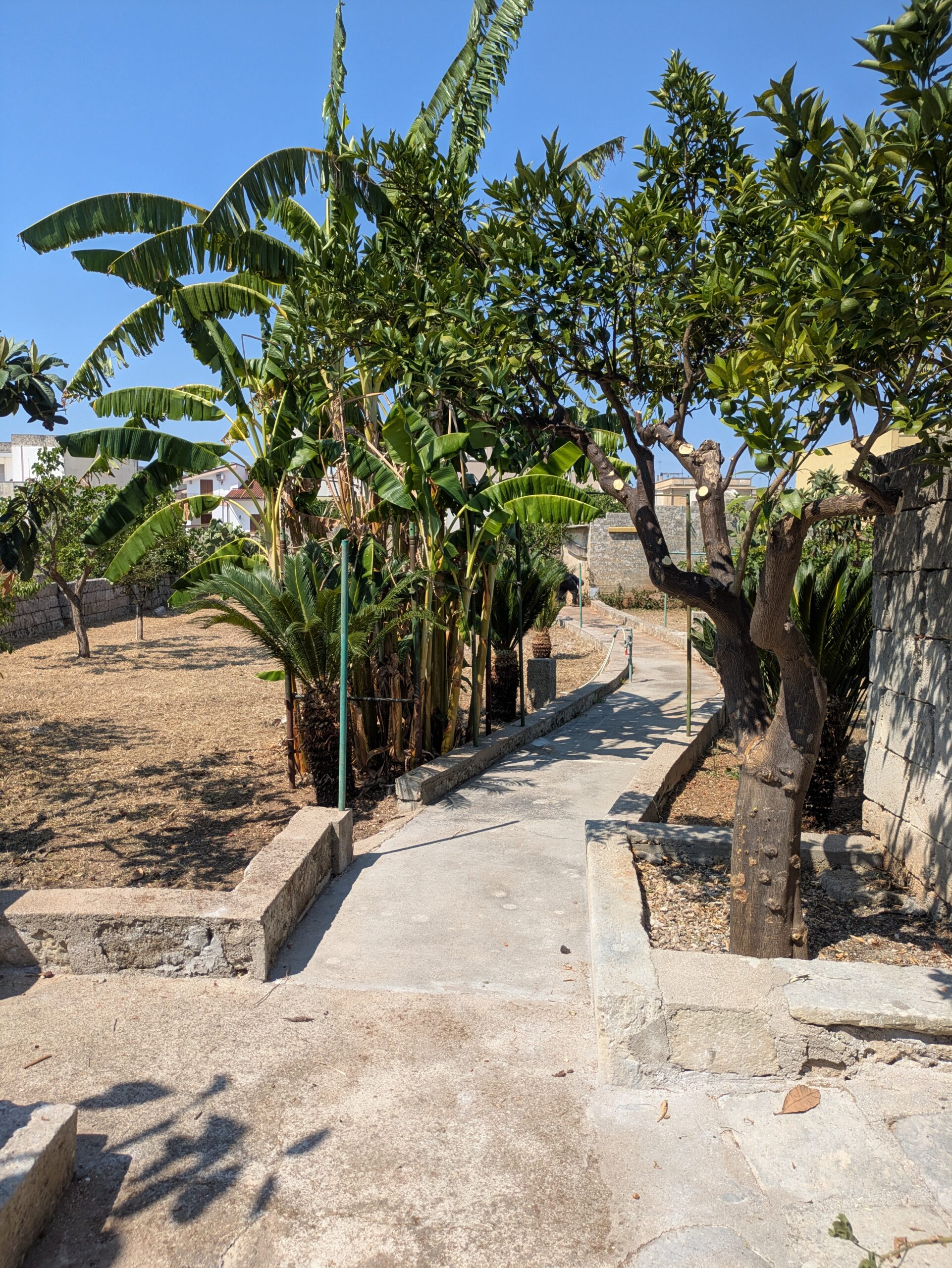 Giardino Retro