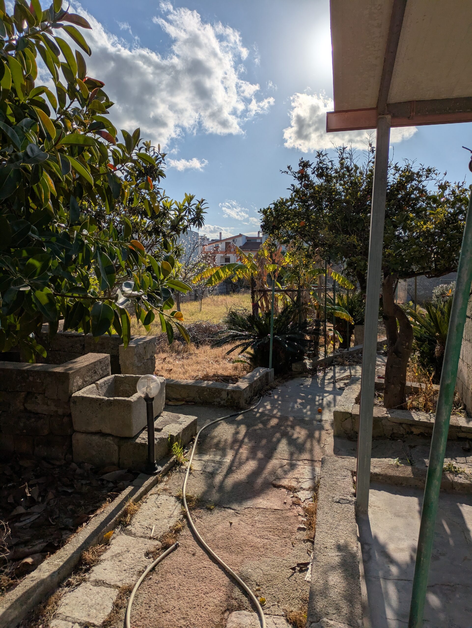 PXL_20250317_144357705