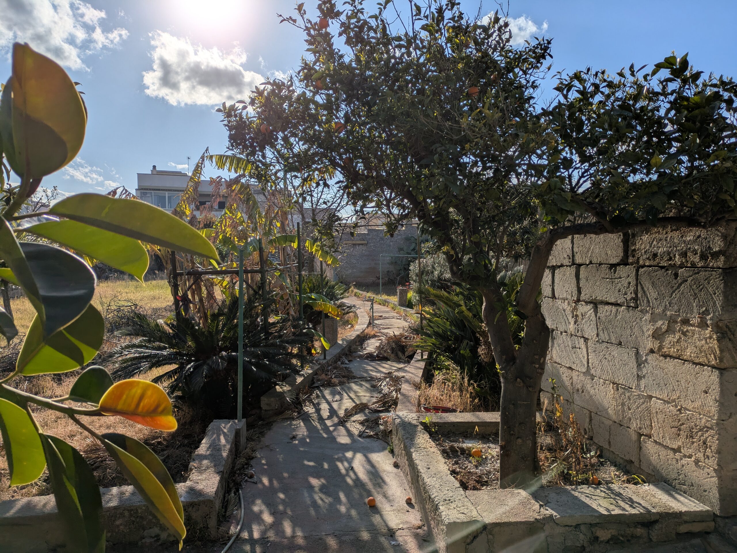 PXL_20250317_144406683