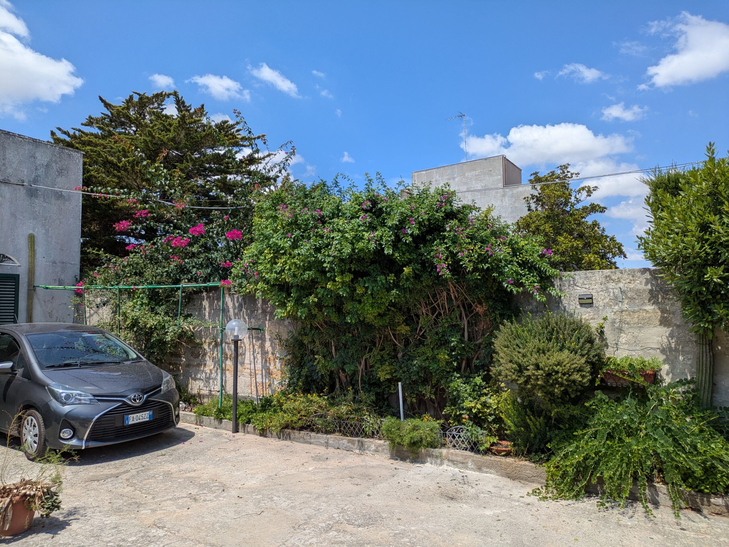 PXL_20250805_103502273